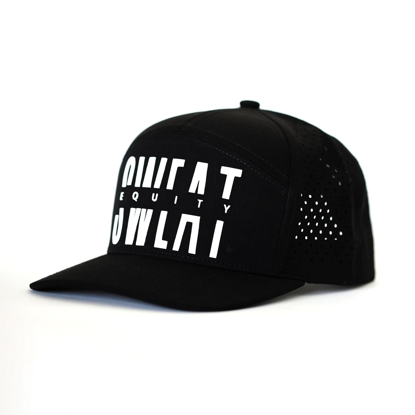 Sweat Equity LB Hat